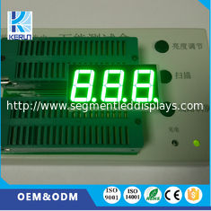 Màu xanh lá cây thuần khiết 3 chữ số Bảy phân đoạn Màn hình LED 0,56 inch cho bảng điều khiển thiết bị